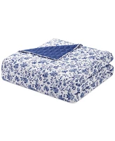 Seventh Studio Alfie Floral 2-Pc. Quilt Set, Twin