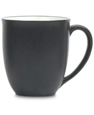 Noritake Colorwave Mug, 12 oz.