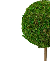 Northlight 16" Reindeer Moss Ball Potted Artificial Spring Topiary Tree