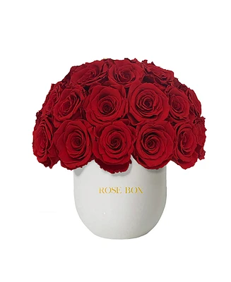 Rose Box Nyc Half Ball of Long Lasting Preserved Real Roses in Classic Ceramic Vase