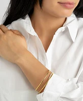 Adornia Tarnish Resistant 14K Gold-Plated Stainless Steel Double Row Bangle Bracelet