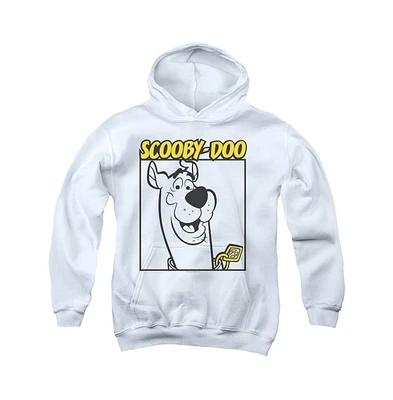Scooby Doo Boys Youth Square Pull Over Hoodie / Hooded Sweatshirt
