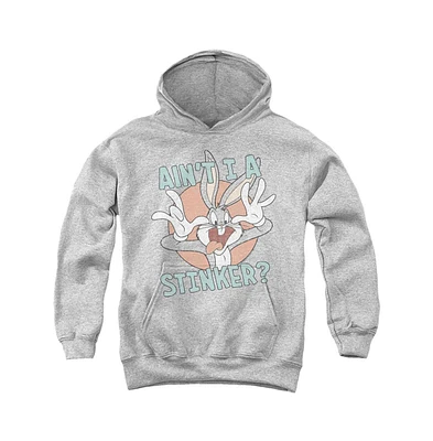 Looney Tunes Boys Youth Aint I A Stinker Pull Over Hoodie / Hooded Sweatshirt