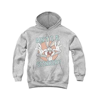 Looney Tunes Boys Youth Aint I A Stinker Pull Over Hoodie / Hooded Sweatshirt