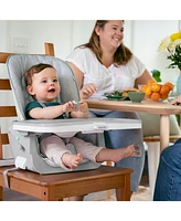 Beanstalk Baby to Big Kid 6-in-1 High Chair - Ray