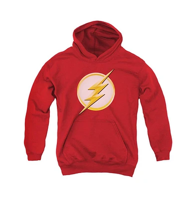 Flash Boys Youth New Logo Pull Over Hoodie / Hooded Sweatshirt