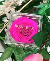 Rose Box Nyc Jewelry box of Neon Pink Long Lasting Preserved Real Rose, 1 Rose