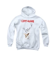 Gremlins Boys Youth Shadow Pull Over Hoodie / Hooded Sweatshirt