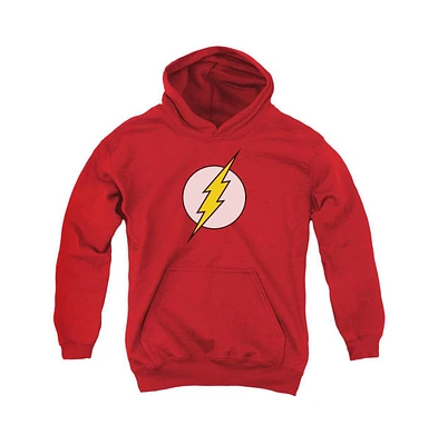 Dc Flash Youth Comics Logo Pull Over Hoodie / Hooded Sweatshirt