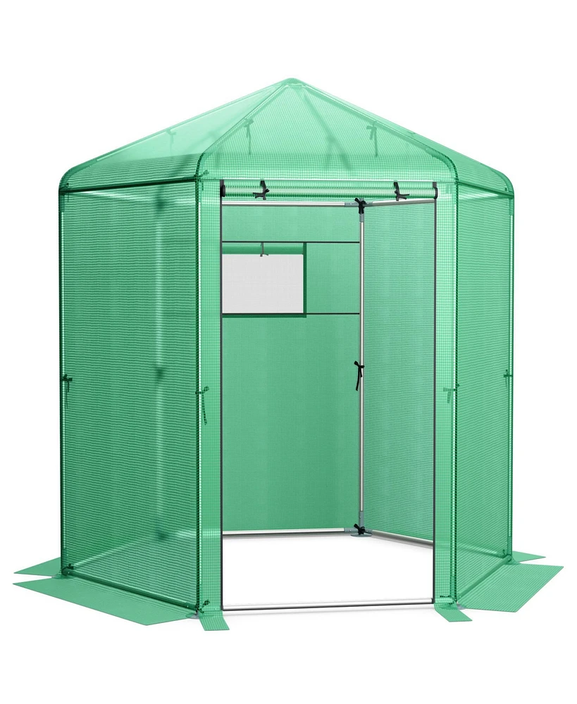 Slickblue Walk-In Hexagonal Greenhouse with Pe Cover and Metal Frame