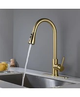 Streamdale Furniture Kitchen Faucet With Pull Out Sprayer