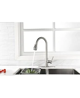 Streamdale Furniture Single Handle High Arc Brushed Nickel Pull Out Kitchen Faucet, Single Level Stainless Steel