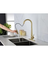 Streamdale Furniture Gold Kitchen Faucets With Pull Down Sprayer, Kitchen Sink Faucet With Pull Out Sprayer