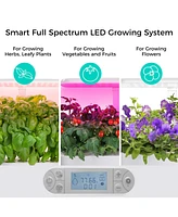 SonicGrace Hydroponics Growing System - Indoor Herb Garden Kit