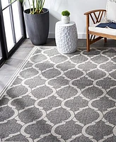 Safavieh Amherst AMT415 Dark Gray and Beige 6' x 9' Area Rug