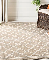 Safavieh Amherst AMT422 Wheat and Beige 6' x 9' Area Rug