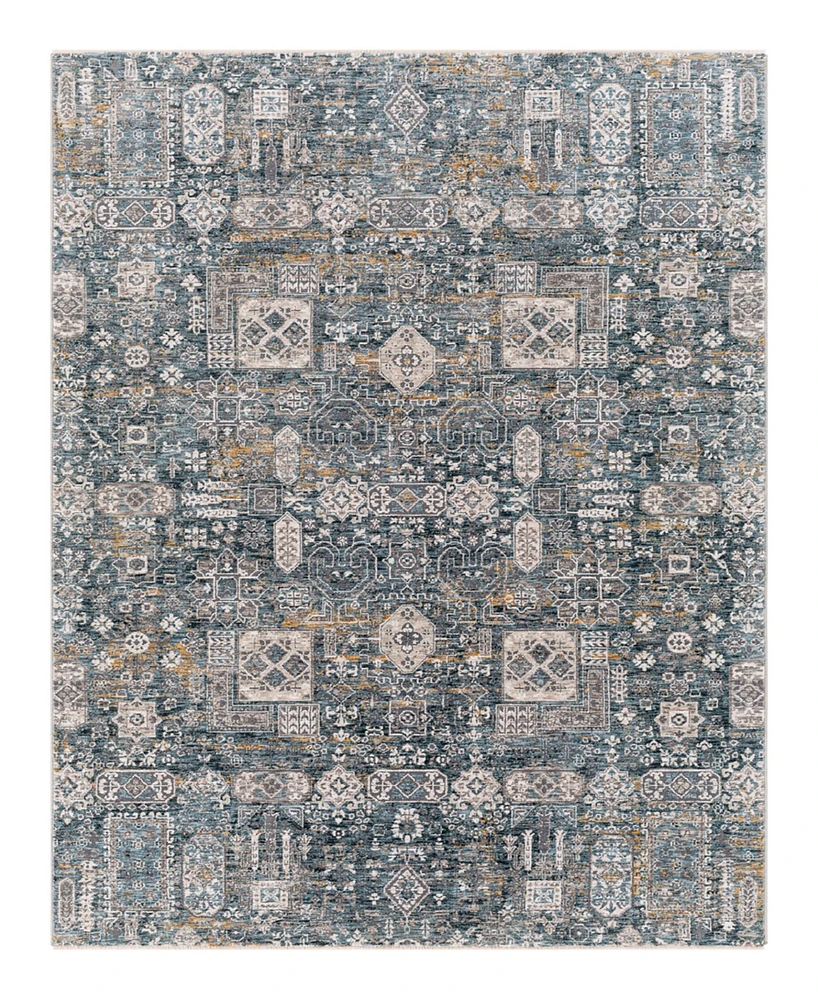 Surya Cardiff Cdf-2309 2'7x4' Area Rug