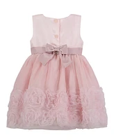 Blueberi Boulevard Baby Girls Fit-and-Flare Embroidered Dress with Rosettes