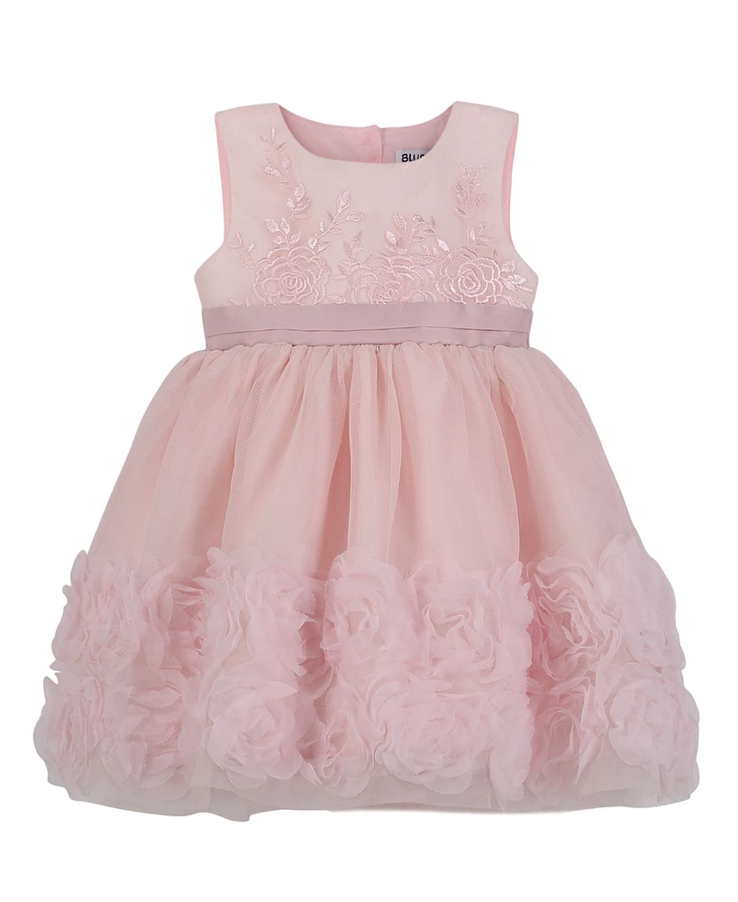 Blueberi Boulevard Baby Girls Fit-and-Flare Embroidered Dress with Rosettes