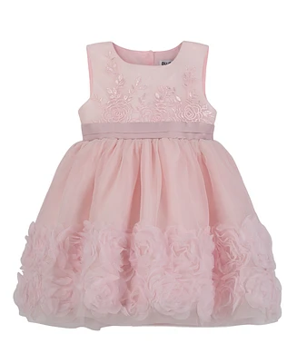 Blueberi Boulevard Baby Girls Fit-and-Flare Embroidered Dress with Rosettes
