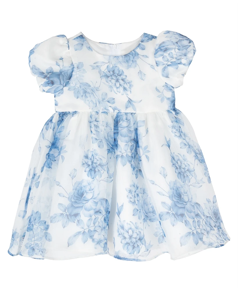 Rare Editions Baby Girl Two-Tone Organza Social Dress