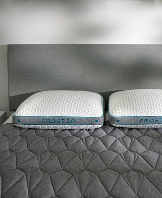 Bedgear Frost Performance 2.0 Pillow, Standard/Queen