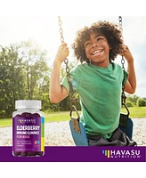 Havasu Nutrition Elderberry Gummies for Kids, Immune System Supplement, Havasu Nutrition, 60ct