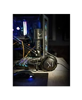 Beyerdynamic Tygr 300 R Open-Back Gaming Headphones Bundle