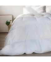 Bokser Home Extra Warm Down Alternative Duvet Comforter Insert