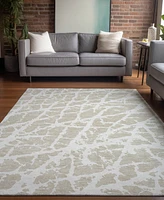 Addison Chantille Machine Washable ACN501 3'x5' Area Rug