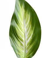 National Tree Company Artificial Hosta Plant