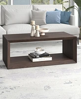 Hudson & Canal Osmond 48" Wide Rectangular Coffee Table in Alder