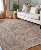 Dalyn Vienna VI6 7'10x10' Area Rug