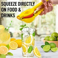 Metal 2-In-1 Lemon Squeezer Manual - Sturdy