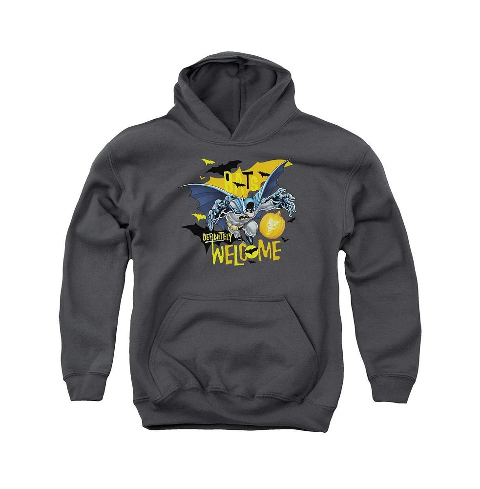 Batman Boys Youth Bats Welcome Pull Over Hoodie / Hooded Sweatshirt