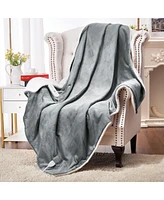 Caromio Twin Size Flannel Electric Heated Blanket, 62" x 84"