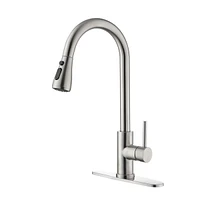 Streamdale Furniture Single Handle High Arc Brushed Nickel Pull Out Kitchen Faucet, Single Level Stainless Steel