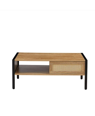 Simplie Fun Modern Rattan Coffee Table with Sliding Door Storage