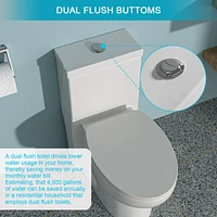 Ceramic One Piece Toilet