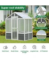 Polycarbonate Greenhouse for Outdoor Plant Gardening
