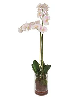 Uttermost Blush Orchid