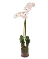 Uttermost Blush Orchid