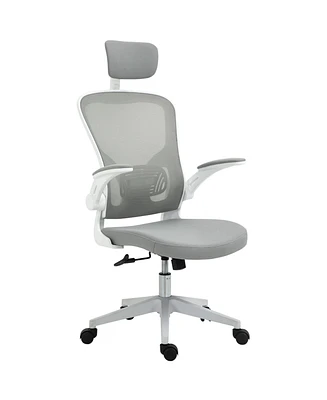 Vinsetto High Back Mesh Chair, Home Office Task Computer Chair with Adjustable Height, Lumbar Back Support, Headrest, and Arms, Grey