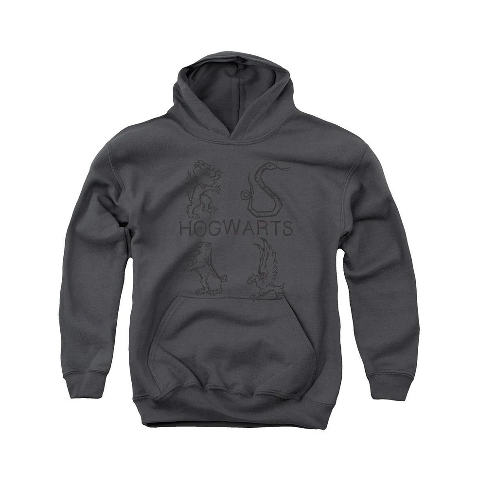 Harry Potter Boys Youth Literary Crests Pull Over Hoodie / Hooded Sweatshirt