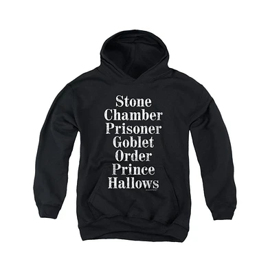 Harry Potter Youth Titles Pull Over Hoodie / Hooded Sweatshirt