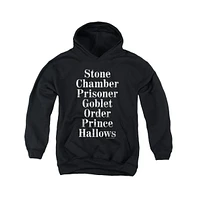 Harry Potter Boys Youth Titles Pull Over Hoodie / Hooded Sweatshirt