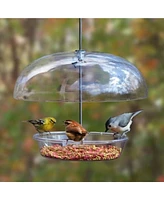 Cole's Bountiful Bowl Polycarbonate Wild Bird Bowl Feeder, Clear, 12in