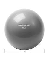 Philosophy Gym Toning Ball, 10 Lb, Gray - Soft Weighted Mini Medicine Ball