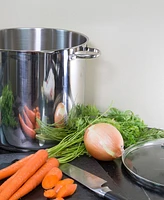 Rsvp International Endurance Stainless Steel 8 Qt Stock Pot