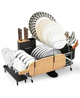 Sugift 2-Tier Detachable Dish Rack with Drainboard and 360° Swivel Spout